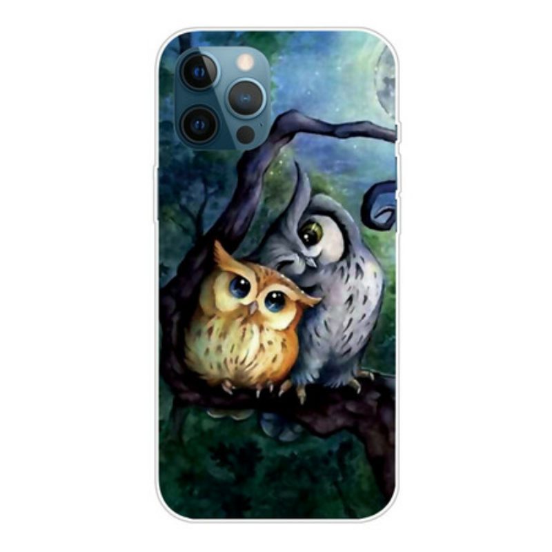 Cover iPhone 13 Pro Max Pittura Gufi