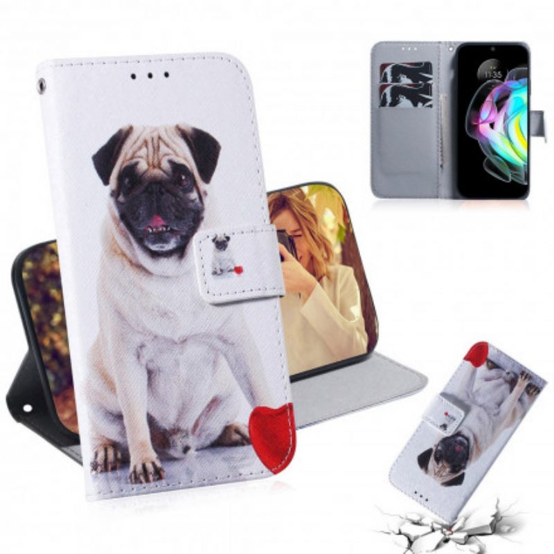 Folio Cover Motorola Edge 20 Cane Carlino