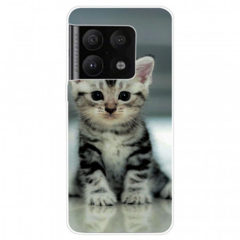 Cover OnePlus 10 Pro 5G Gattino Gattino