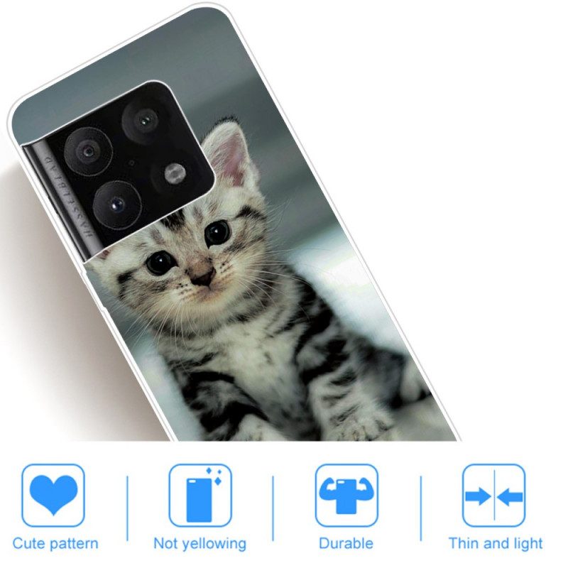 Cover OnePlus 10 Pro 5G Gattino Gattino