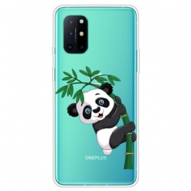 Cover OnePlus 8T Panda Senza Soluzione Di Continuità Su Bambù