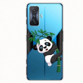 Cover Poco F4 GT Panda Sul Suo Bambù