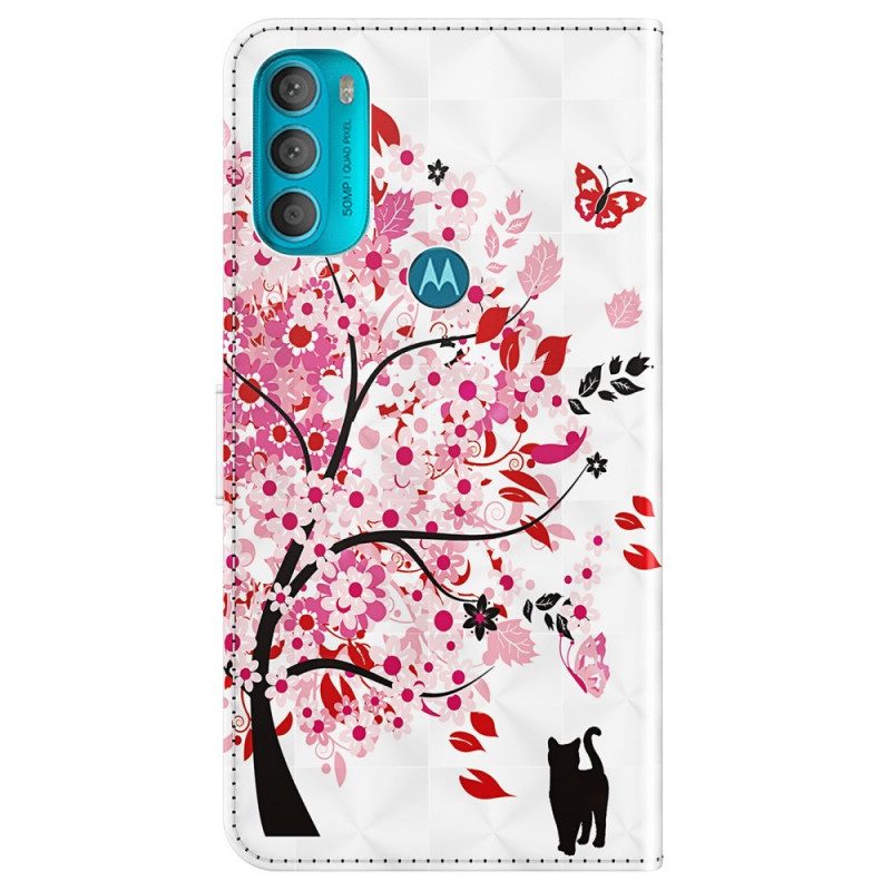 Folio Cover Moto G71 5G Albero Rosa E Gatto Nero