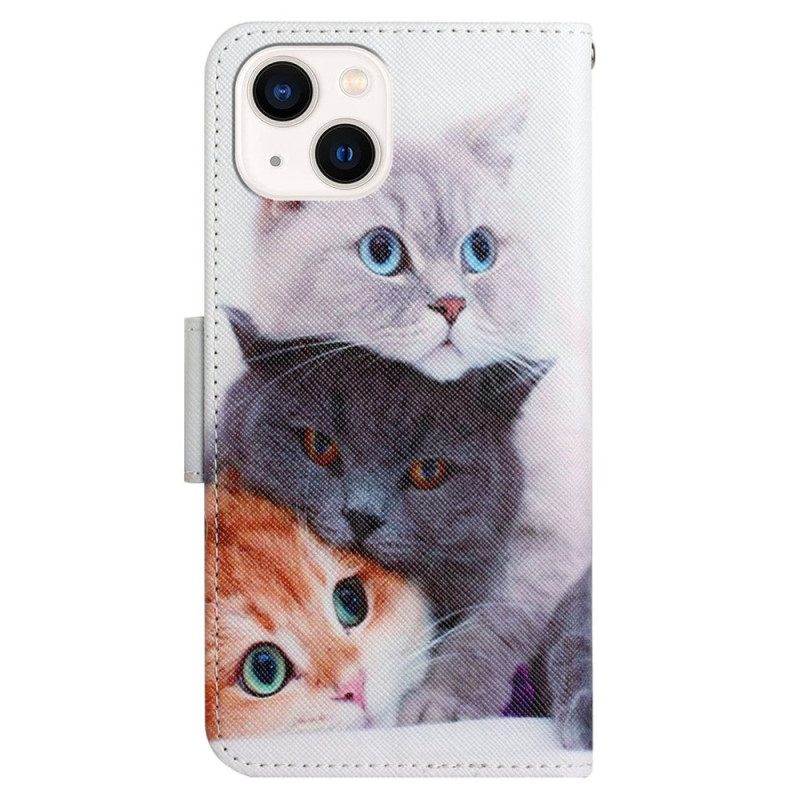 Custodia in pelle iPhone 15 Solo Gatti Con Cinghie