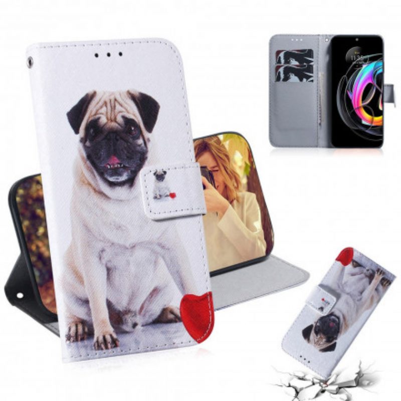 Custodia in pelle Motorola Edge 20 Lite Cane Carlino