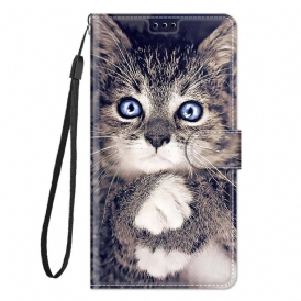 Custodia in pelle Xiaomi 12 / 12X Gatti Gatti Perizoma Gatti