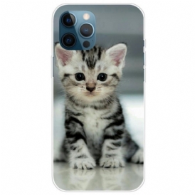 Cover iPhone 14 Pro Gattino