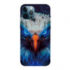 Cover iPhone 13 Pro Aquila