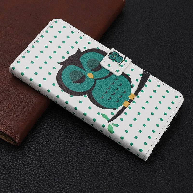 Folio Cover iPhone 11 Gufo Addormentato